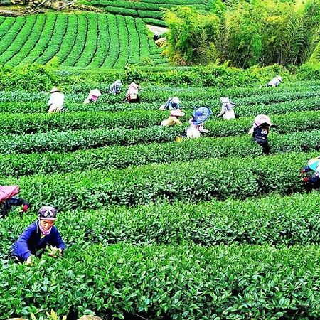 Tianyi Homestay Фенчиху Екстериор снимка
