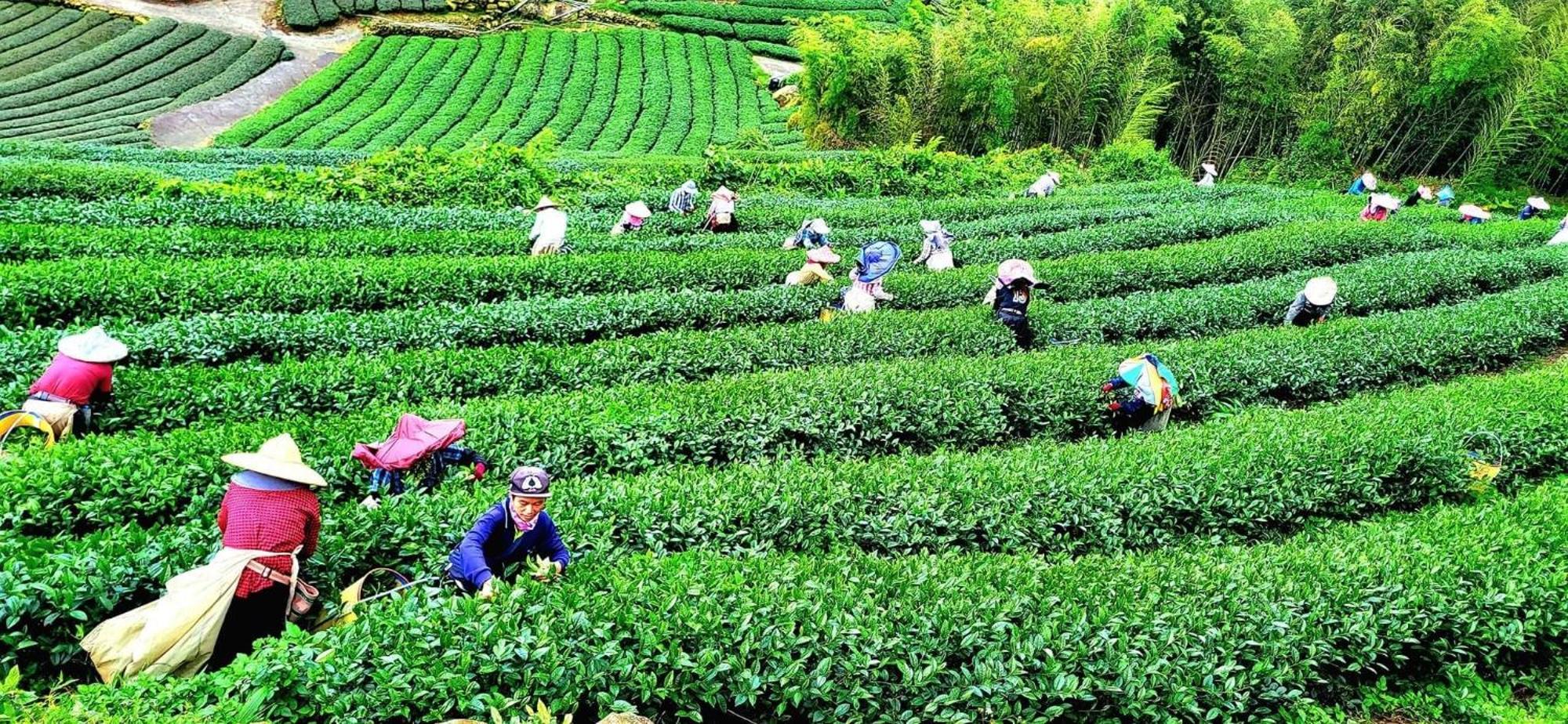 Tianyi Homestay Фенчиху Екстериор снимка